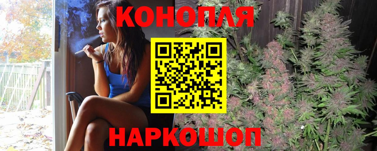 Бошки Шишки семена  Канабис семена  Марихуана план  Конопля THC 21%  Карталы  Вход с VPN 